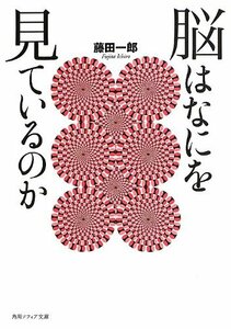 【中古】 脳はなにを見ているのか (角川ソフィア文庫)