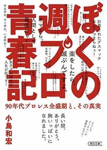 【中古】 ぼくの週プロ青春記 90年代プロレス全盛期と、その真実 (朝日文庫)