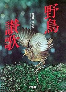 【中古】 野鳥讃歌―和田剛一写真集