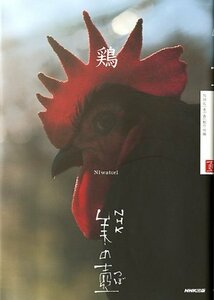 【中古】 NHK 美の壺 鶏 (NHK美の壺)