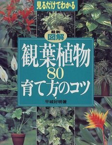 【中古】 最新図解 観葉植物80育て方のコツ―見るだけでわかる