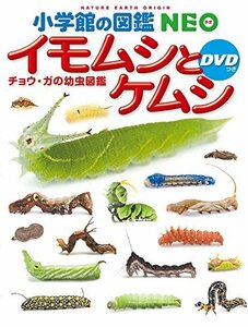 【中古】 小学館の図鑑NEO イモムシとケムシ DVDつき: チョウ・ガの幼虫図鑑