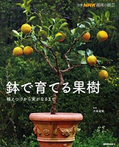 【中古】 鉢で育てる果樹―植えつけから実がなるまで (別冊NHK趣味の園芸)