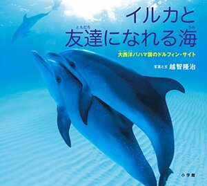 【中古】 イルカと友達になれる海: 大西洋バハマ国のドルフィン・サイト (小学館の図鑑NEOの科学絵本)