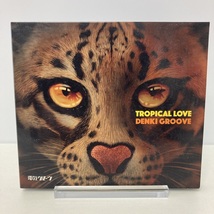 YC2 電気グルーヴ DENKI GROOVE / TROPICAL LOVE 初回生産限定盤 DVD付_画像1