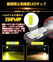 【業界最ちっちゃ！】WENLE(ウエンレ) H8/H9/H11/H16共用 LED フォグランプ レモン DC12V車用 明るい 40W 一体型 無極性 ファンレス_画像3