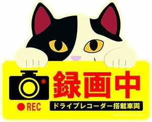 かわいい猫のドライブレコーダー録画中マグネットサイン 白黒猫