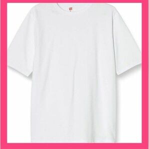 Tシャツ 半袖 綿100% COTTON USA ショートスリーブクルーネック