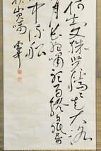 【真作】B1931 権田雷斧「三行書」紙本 肉筆_画像3