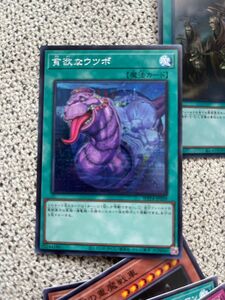 遊戯王　貪欲なウツボ