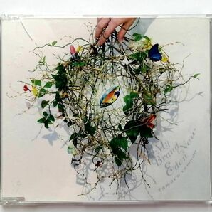 山田タマル / My Brand New Eden (CD)