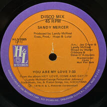 [12] '78米Promo / Sandy Mercer / You Are My Love / Play With Me / H & L Records / HLS-2005 / Disco_画像1