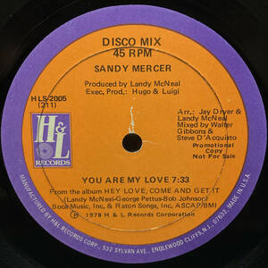 [12] '78米Promo / Sandy Mercer / You Are My Love / Play With Me / H & L Records / HLS-2005 / Disco