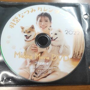 羽柴なつみ　カレンダーブック　 DVD　週刊プレイボーイ付録DVD