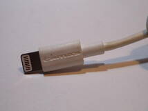 39407 多摩電子工業 USB充電 ライトニングケーブル 0.5m_画像2