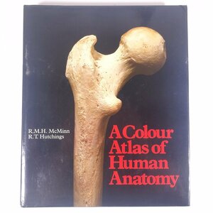 【英語洋書】 A Colour Atlas of Human Anatomy 人体解剖カラーアトラス McMinn Hutchings 1977 大型本 医学 医療 治療 病院 医者