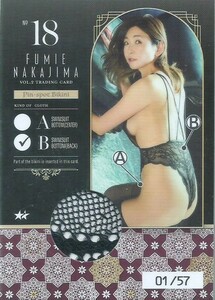  Nakajima Fumie Vol.2 коллекционная карточка булавка spo бикини карта PIN-SPOT BIKINI 18 B 01/57 First номер 