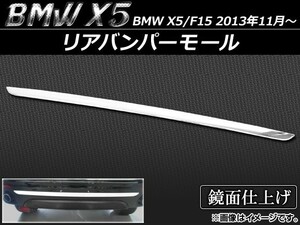 リアバンパーモール BMW X5/F15 2013年11月～ APSINA-X5AB-TRM