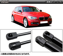 リアゲートダンパー BMW 1シリーズ E81/E82/E87/E88 2004年～2012年 シルバー カーボンファイバー製 AP-4T845-SI 入数：1セット(2個)_画像2