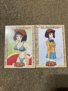 遊戯王　東映　カード　1998 真崎杏子　水着　2枚セット