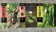 ヤマケイポケットガイド「野鳥」「野山の昆虫」「水辺の昆虫」3冊まとめて 山と渓谷社　送料無料_画像1