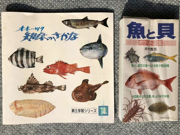 「①魚と貝 ポケット図鑑/主婦の友社」レア本 ♪ ②「オホーツク・知床のさかな/斜里町立知床博物館」入手困難！ 送料無料