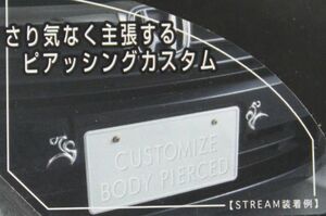 カスタムエンブレムtype2カーヴタイプクロムメッキ 装飾エンブレム カー用品 外装パーツ カーアクセサリー 車バイク エンブレムステッカー