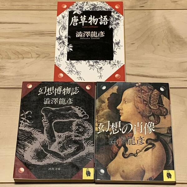 澁澤龍彦 河出文庫set 幻想の肖像/唐草物語/幻想博物誌