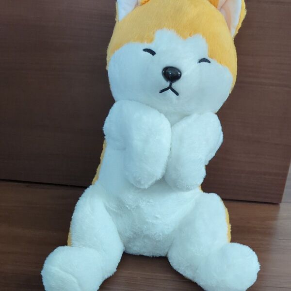 へそ天秋田犬 ウルトラBIG・T(特) やまぶき