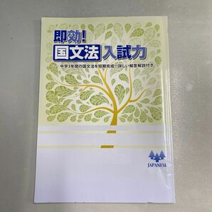 【新品未使用品】即効！国文法入試力