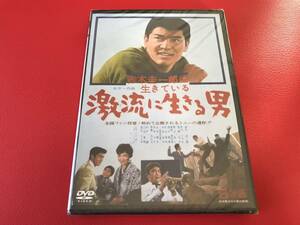 ◆未開封◆赤木圭一郎は生きている 激流に生きる男/DVD/NYK-802 #I30YY1