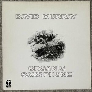 David Murray - Organic Saxophone - Palm ■ Jef Gilson