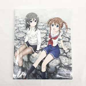 【中古】未開封 アニプレックス 劇場版 ハイスクール・フリート F3キャンバスアート 岬明乃&知名もえか Amazon限定[240017479913]