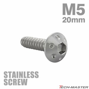 M5×20mm タッピングネジ ビス ホールヘッド ステンレス シルバー カウル フェンダー 車 バイク カスタム DIY 1個 TC0064