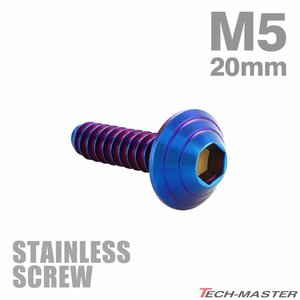 M5×20mm タッピングネジ ビス シェルヘッド ステンレス 焼きチタンカラー カウル フェンダー 車 バイク カスタム DIY 1個 TC0089