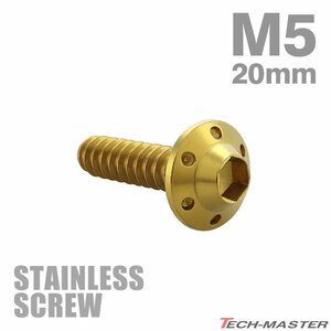 M5×20mm タッピングネジ ビス ステップホールヘッド ステンレス ゴールド カウル フェンダー 車 バイク カスタム DIY 1個 TC0114