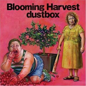 dustbox / Ｂｌｏｏｍｉｎｇ Ｈａｒｖｅｓｔ_5m-3144