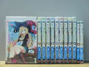 スライム倒して300年、知らないうちにレベルMAXになってました 13巻【全巻セット】★150冊迄同梱ok★ 2l-0185