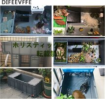 亀水槽プ ラスチック 大きい ボックス カメ槽 亀飼育用水槽 爬虫類繁殖ボックス カメ生息地 排水孔 階段 日向ぼっこ台 爬虫類ケース Q1220_画像5