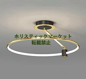 人気美品★LED ゴールドラウンドリング 50CM シーリングライト、調光可能なリモコン寝室の天井照明器具 Q0861