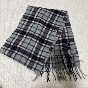 マフラー チェック