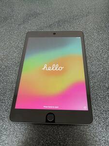 Apple iPad mini5 Wi-Fi 64GB スペースグレイFUQW2J/A 本体