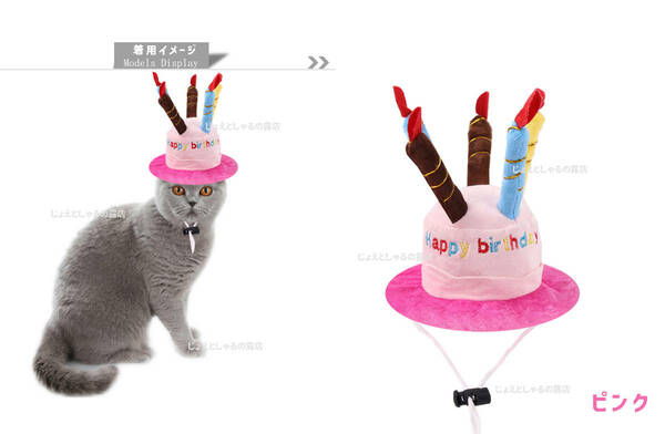 【ピンク】猫犬 誕生日 プレゼント 子供 帽子 ケーキ ロウソク ぬいぐるみ　