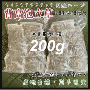 【天然ハーブ入浴剤】背高泡立草　セイタカアワダチソウ　個包装200g 荒れやアトピー　天然素材　厳選採取　大容量