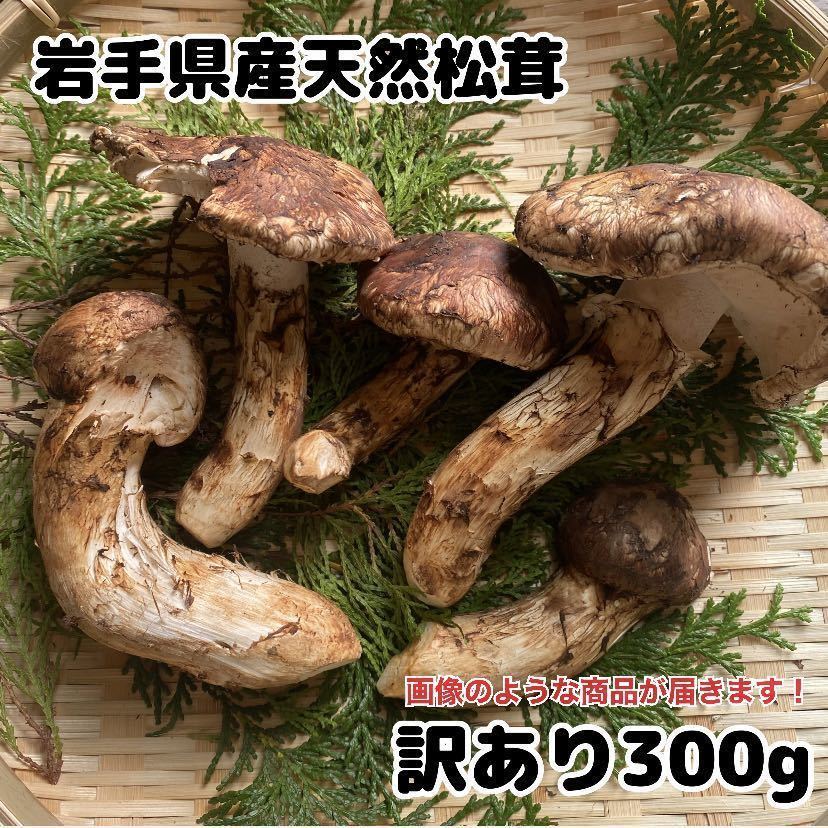 岩手県産松茸390g-