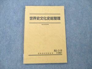 VE19-240 駿台 世界史文化史総整理 状態良い 2022 11m0D