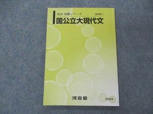 VE05-177 河合塾 国公立大現代文 テキスト 2023 基礎シリーズ 06s0B