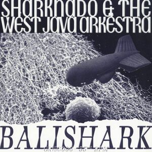試聴 Sharknado and the West Java Arkestra - Balishark [LP] Groovedge Records FRA 2023 Ambient