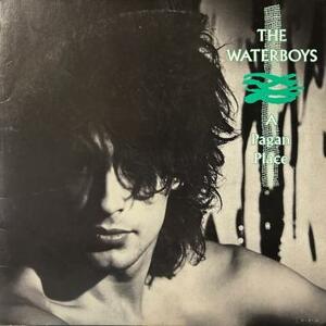 即決！THE WATERBOYS / A PAGAN PLACE [LP] 異教徒の大地 国内帯無し NEW WAVE ネオアコ