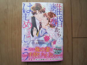 ★10月新刊ベリーズコミックス★離婚からはじめましょう～極上社長はお見合い妻を逃さない～②　うみやまねこ